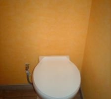 Toilettes du haut &agrave; l'emplacement de la chemin&eacute;e qui n'existe plus!
Toilettes semi-broyeur