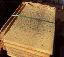 Les Tuiles , couleur champagne