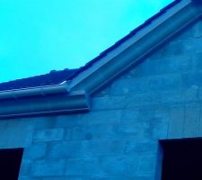 Close-up sur le fronton bis
notez la partie m&eacute;tallique qui sort de la toiture, c'est quoi?