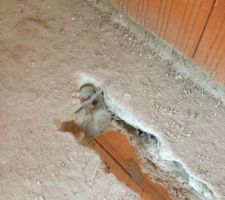 Poutrelle abim&eacute;e