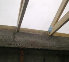Photos de la charpente enfin sur les murs et plus sur la terre (plus 20 jours sur le sol) Travail du charpentier entre le 16 et le 19 décembre 2013.
