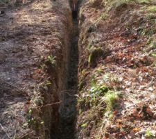 Tranch&eacute;e pare racines