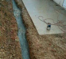 Tranch&eacute;e pare racines coul&eacute;e