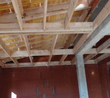 Le futur toit en zinc de la cuisine