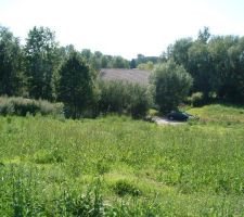 Photo depuis le fond du terrain