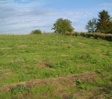 Photo depuis la limite basse du terrain