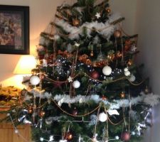 Sapin de Noël!