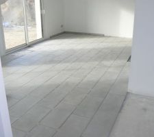 Carrelage 30x60 en pose 2/3 1/3