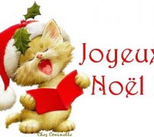 Bon réveillon et joyeux Noël à tous!