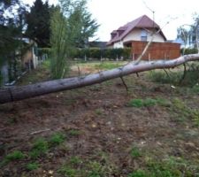 Tempête du 24/12/2013