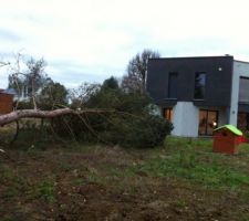 Tempête du 24/12/2013