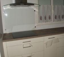 Hotte et plaque induction