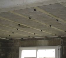 Suspente du plafond placo RdC