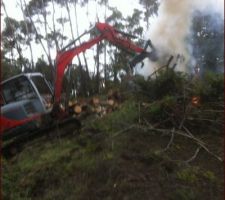 Pendant les vacances un peu de nettoyage