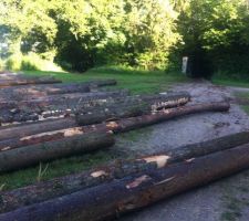 Bois de charpente !