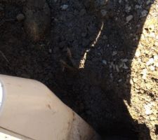 Voila, ils ouvraient l'eau et laissaient couler tant que ça se remplisse jusqu'à la racine ...