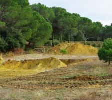 Debut du terrassement