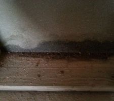 Humide à l intérieur.