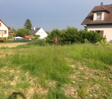 Le terrain