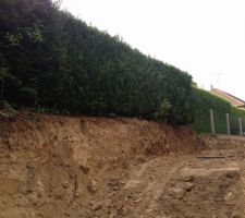 Chemin d acces de notre terrain