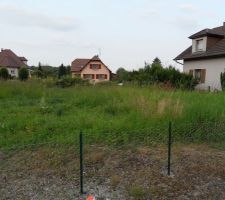 Le terrain
