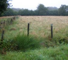 Terrain vu de la route avant le nettoyage!