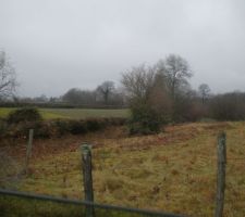 Grand nettoyage! On retire le grillage qui coupait le terrain en deux et on coupe la haie!