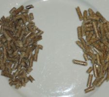 Comparaison German Pellets à droite et pellets FirstBois à gauche