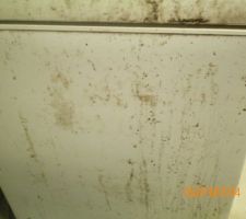 Congel qui commence à pourrir au vu de l'humidité du garage