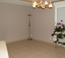 S&eacute;jour termin&eacute;, mes orchid&eacute;es sont arriv&eacute;es