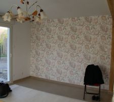 Mur cot&eacute; salon