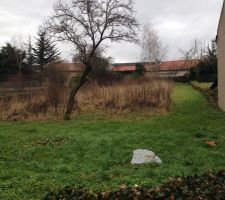 Voici le terrain que nous convoitons donc
6 ares
16m de fa&ccedil;ade