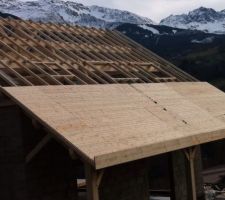 Velux côté chartreuse et couverture de la terrasse