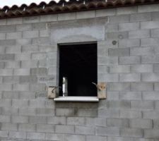 1 rang de génoise, rebord de fenêtre en pierre blanche