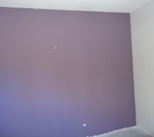 Chambre Enfant:prune (Défi nature) et gris (Tollens)