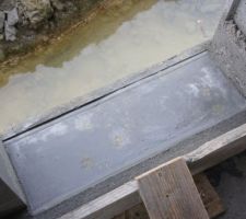 Et de un seuil de fenêtre...
Bien sur ce pu***n de chat n aurait pas pu ressortir par le seuil de porte qu il a deja pourri pour entree dans la maison!!!