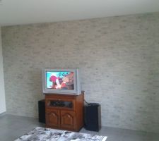 Mur avec plaquette de parement