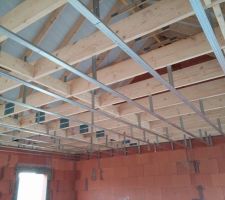 Pose des rails pour le plafond