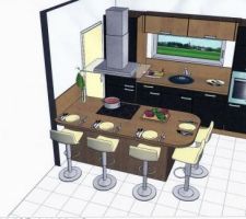 Futur cuisine noir laqu&eacute;/inox/bois !!