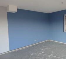 La couleur du salon