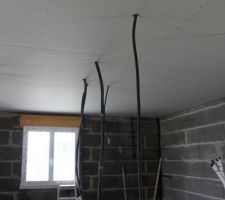 Placo    travaux d'éléctricité