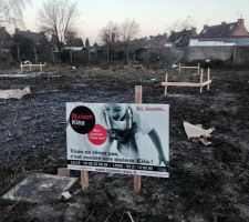 Implantation des chaises