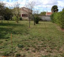 Ce sera le jardin mais nous devons déplacer et supprimer les arbres pour construire