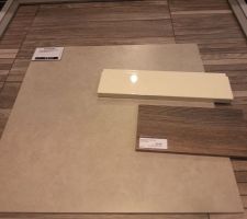 Avec échantillon Cuisine ( Façade beige et Plan de travail Bois Cendré)