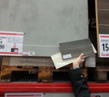 Avec échantillon Cuisine ( Façade beige et Plan de travail Bois Cendré)