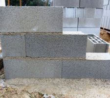 14 janvier 2013 Le début du vide-sanitaire...