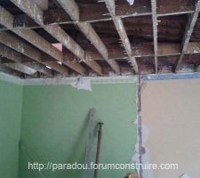 D&eacute;molition (plafond)