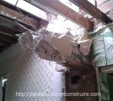 D&eacute;molition souche chemin&eacute;e