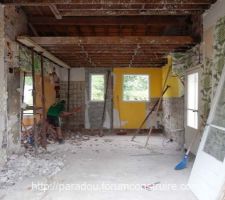 D&eacute;molition : Salon s&eacute;jour