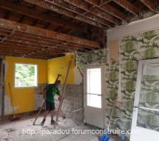 D&eacute;molition Salon S&eacute;jour